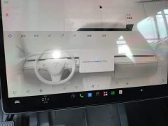 Tesla Model Y Rear-Wheel Drive - ფოტო 13