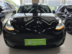 Tesla Model Y Rear-Wheel Drive - ფოტო 3