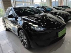 Tesla Model Y Rear-Wheel Drive - ფოტო 4