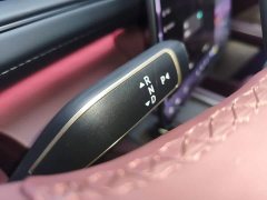 NIO ES8 2026 Six-Seat Executive Luxury Edition - ფოტო 14