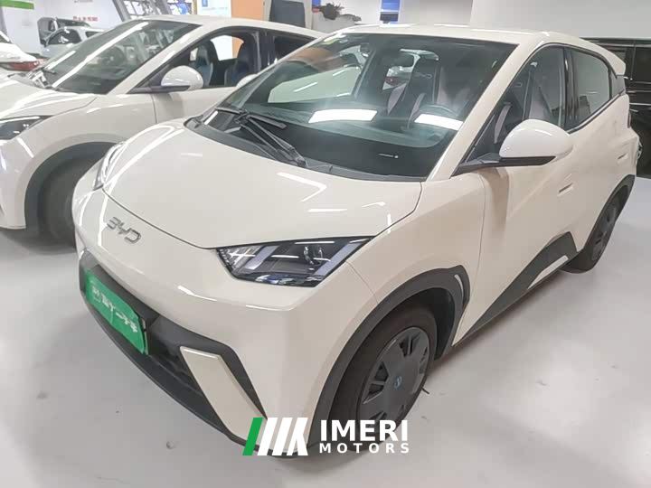 BYD Seagull 305km Vitality Edition