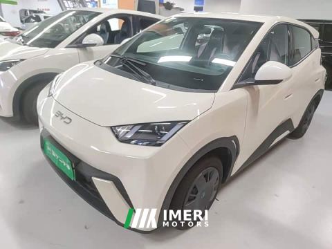 2025 BYD Seagull 305km Vitality Edition
