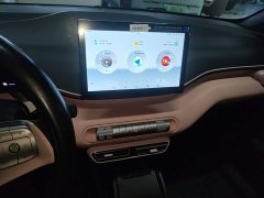 BYD Seagull 305km Vitality Edition - ფოტო 13