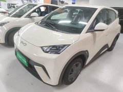 BYD Seagull 305km Vitality Edition - ფოტო 2