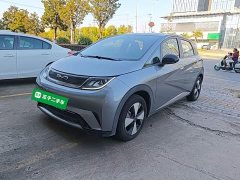 BYD Dolphin 420km Freedom Edition - ფოტო 1