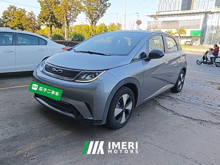 BYD Dolphin 420km Freedom Edition