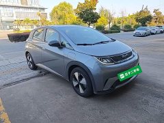 BYD Dolphin 420km Freedom Edition - ფოტო 4