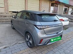 BYD Dolphin 420km Freedom Edition - ფოტო 5