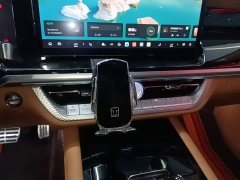 Tank 500 New Energy 2024 Hi4-T - ფოტო 13