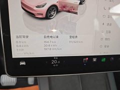 Tesla Model Y Rear-Wheel Drive - ფოტო 12