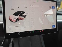 Tesla Model Y Rear-Wheel Drive - ფოტო 13