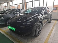 Tesla Model Y Rear-Wheel Drive - ფოტო 2