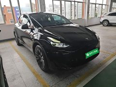 Tesla Model Y Rear-Wheel Drive - ფოტო 4