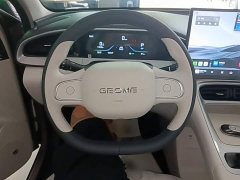 Geely Star Wish 310km Dream Edition - ფოტო 11
