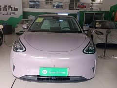 Geely Star Wish 310km Dream Edition - ფოტო 3