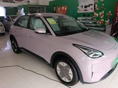 Geely Star Wish 310km Dream Edition - ფოტო 4