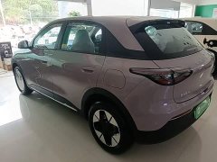 Geely Star Wish 310km Dream Edition - ფოტო 5