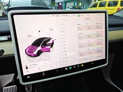 Tesla Model Y 2022 Facelift Rear-Wheel Drive - ფოტო 13