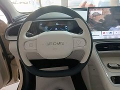 Geely Star Wish 310km Dream Edition - ფოტო 11
