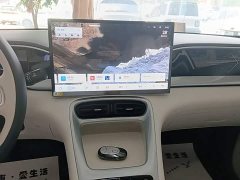 Geely Star Wish 310km Dream Edition - ფოტო 13