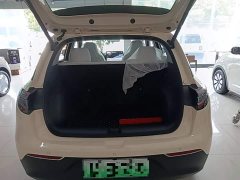 Geely Star Wish 310km Dream Edition - ფოტო 19