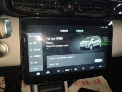 Leapmotor T03 Agate Edition - ფოტო 13