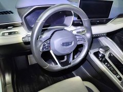 Geely Xingrui 2.0T Diesel Premium - ფოტო 11