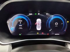 Geely Xingrui 2.0T Diesel Premium - ფოტო 12