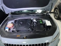 Geely Xingrui 2.0T Diesel Premium - ფოტო 20