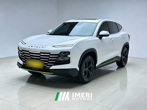 2024 Jetour Jietu Dasheng 1.5T DCT Youth Pro - ავტომობილი ჩინეთიდან