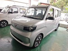Wuling Zhiguang New Energy 305km Aspiring Edition - photo 2