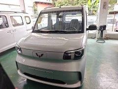 Wuling Zhiguang New Energy 305km Aspiring Edition - photo 3
