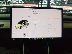 Tesla Model 3 Standard Range RWD Upgrade - ფოტო 13