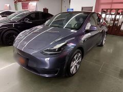 Tesla Model Y Long Range All-Wheel Drive - ფოტო 1
