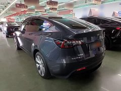Tesla Model Y Long Range All-Wheel Drive - ფოტო 5