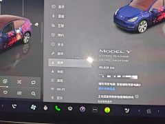 Tesla Model Y 2022 Facelift Long Range All-Wheel Drive - ფოტო 12