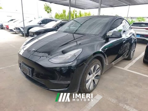2021 Tesla Model Y Standard Range RWD - ავტომობილი ჩინეთიდან