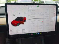 Tesla Model Y Standard Range RWD - ფოტო 12