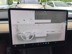 Tesla Model Y Standard Range RWD - ფოტო 13
