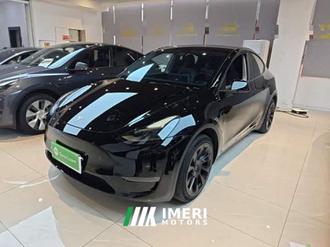 2022 Tesla Model Y 2021 Standard Range RWD - ავტომობილი ჩინეთიდან