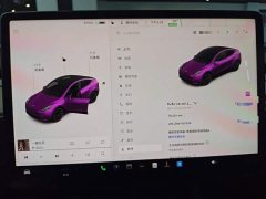 Tesla Model Y 2021 Standard Range RWD - ფოტო 12