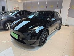 Tesla Model Y 2021 Standard Range RWD - ფოტო 2