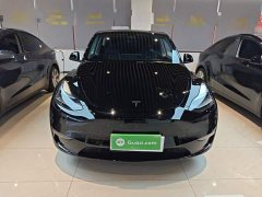 Tesla Model Y 2021 Standard Range RWD - ფოტო 3