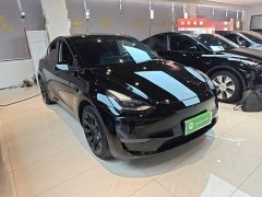 Tesla Model Y 2021 Standard Range RWD - ფოტო 4
