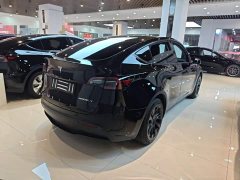 Tesla Model Y 2021 Standard Range RWD - ფოტო 7