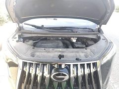 GAC Aion M8 Master Series 400T Premium Edition - ფოტო 20