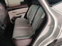 BYD Song Plus New Energy 2025 DM-i 112KM Prestige - ფოტო 17