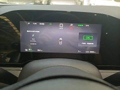 BYD Dolphin 06 EV 545KM Deluxe Edition - ფოტო 12