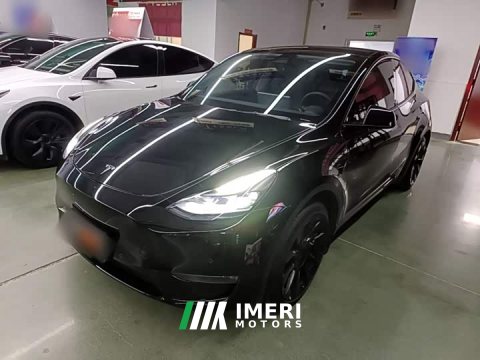 2021 Tesla Model Y Standard Range RWD - ავტომობილი ჩინეთიდან