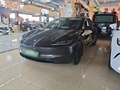 Tesla Model 3 Rear-Wheel Drive - ფოტო 1
